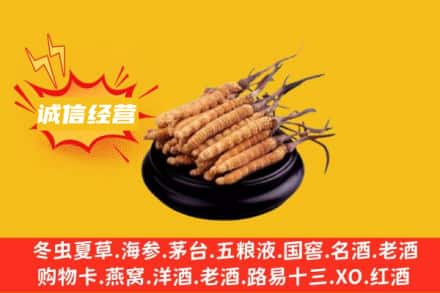 南开区回收冬虫夏草